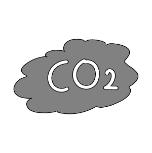 Kakao-CO2